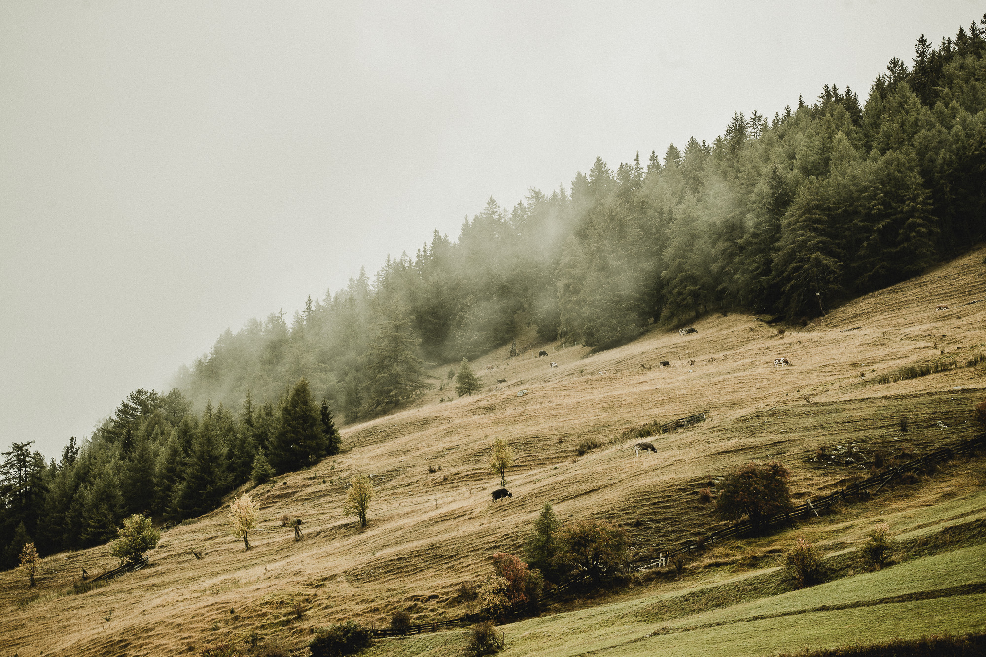 Export x3 1DX23875 Fotoshooting 2018 Annette & Mike Nauders 2